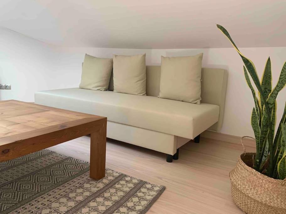 La Pau Apartaments Mollerusa Zewnętrze zdjęcie
